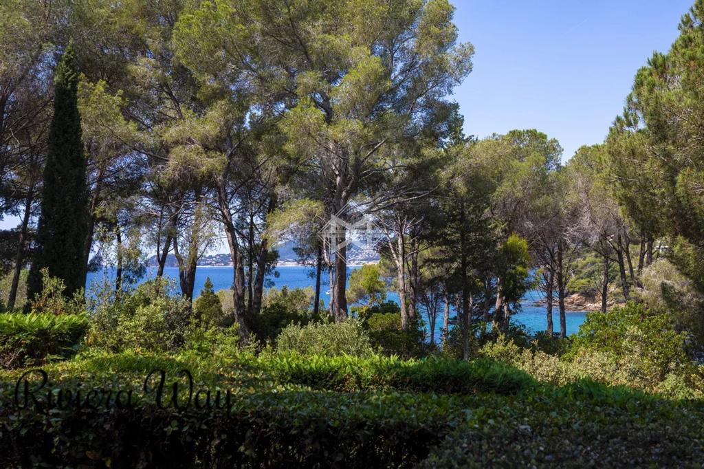 7 room villa in La Croix-Valmer, photo #4, listing #105676200