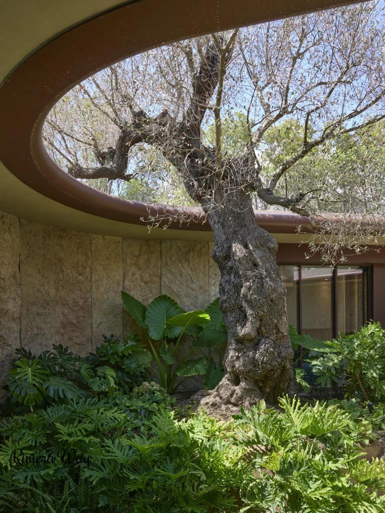 9 room villa in Ramatyuel, photo #4, listing #103938240