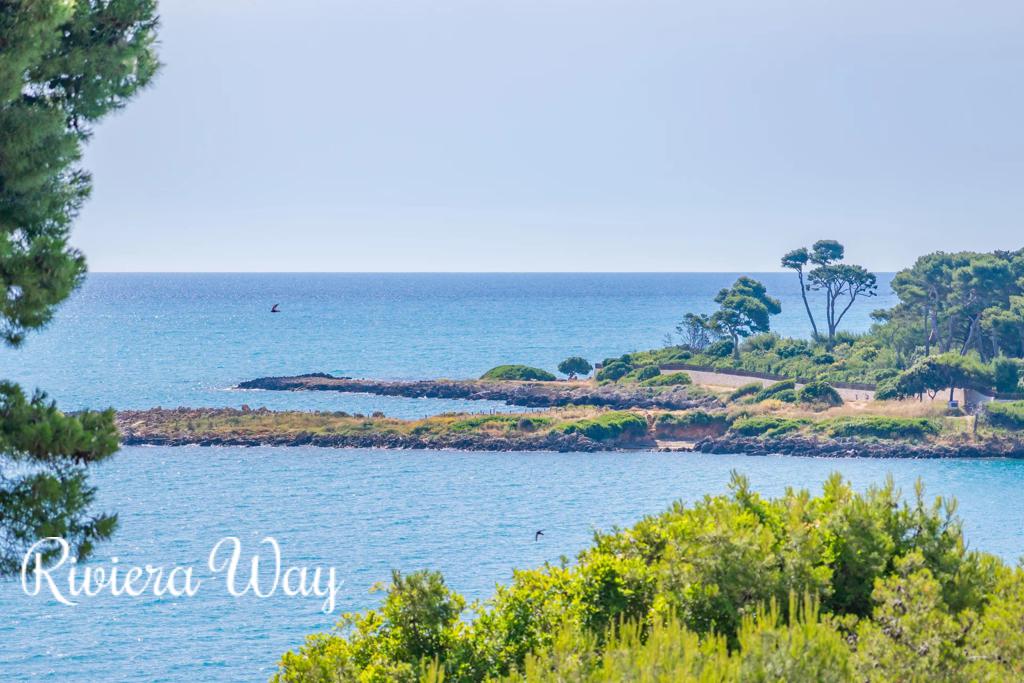 7 room villa in Cap d'Antibes, photo #3, listing #103109664