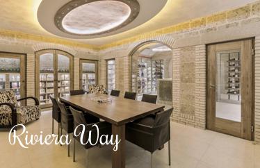 14 room villa in Grasse