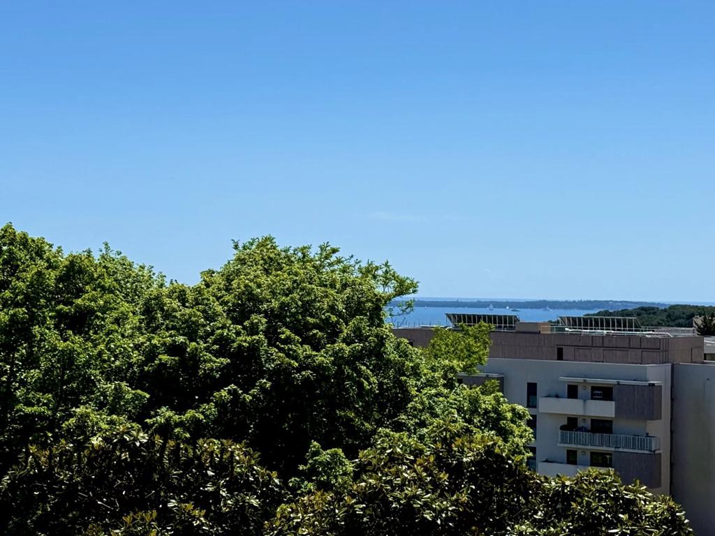 4 room apartment in Antibes, photo #2, listing #103061112